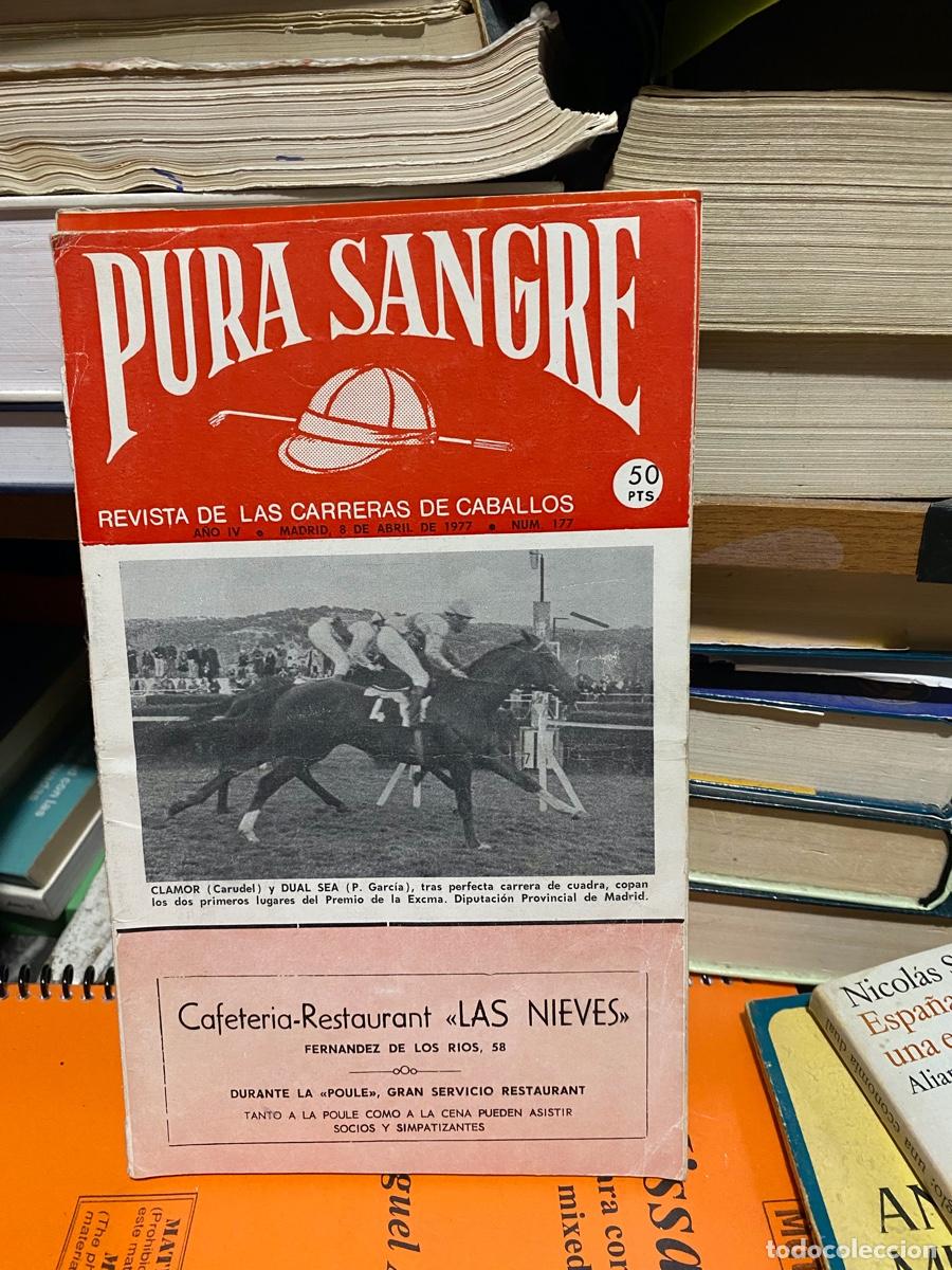 Coleccionismo de revistas y peri&oacute;dicos: PURA SANGRE, REVISTA DE HIPICA, N. 177