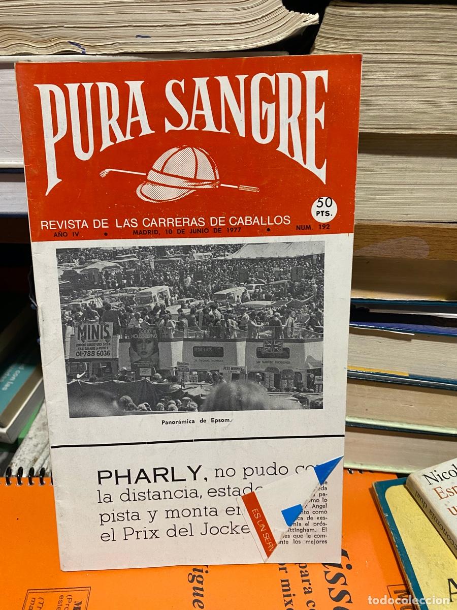 Coleccionismo de revistas y peri&oacute;dicos: PURA SANGRE, REVISTA DE HIPICA, N. 192