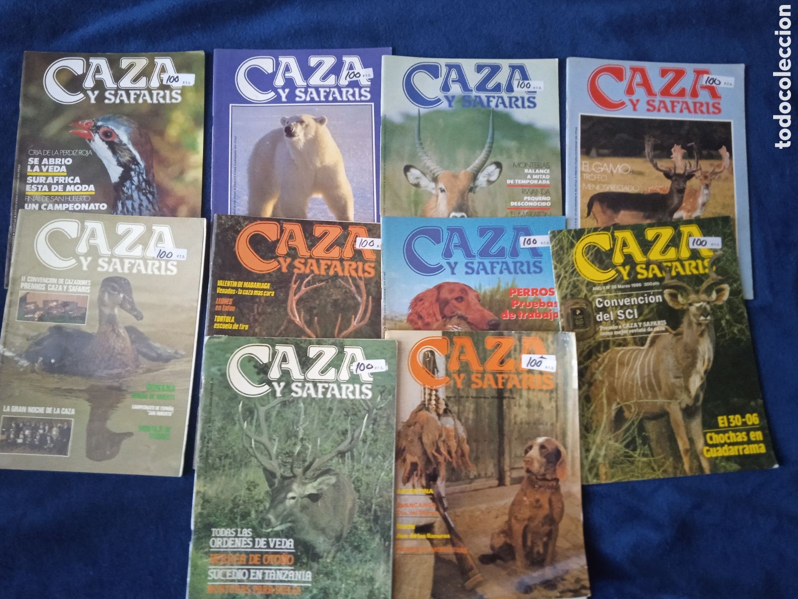 Coleccionismo de revistas y peri&oacute;dicos: CAZA Y SAFARIS - LOTE DE 10 EJEMPLARES - REVISTA DE CAZA MENOR Y MAYOR -RESERVADO