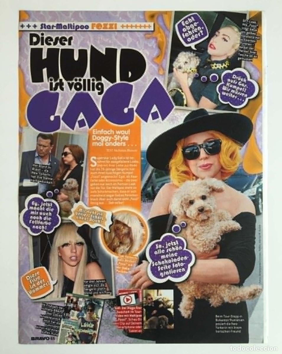 Coleccionismo de revistas y peri&oacute;dicos: Lady Gaga & her dog Fozzi Vintage Magazine Article Clipping Page A4 - Bravo Germany Music