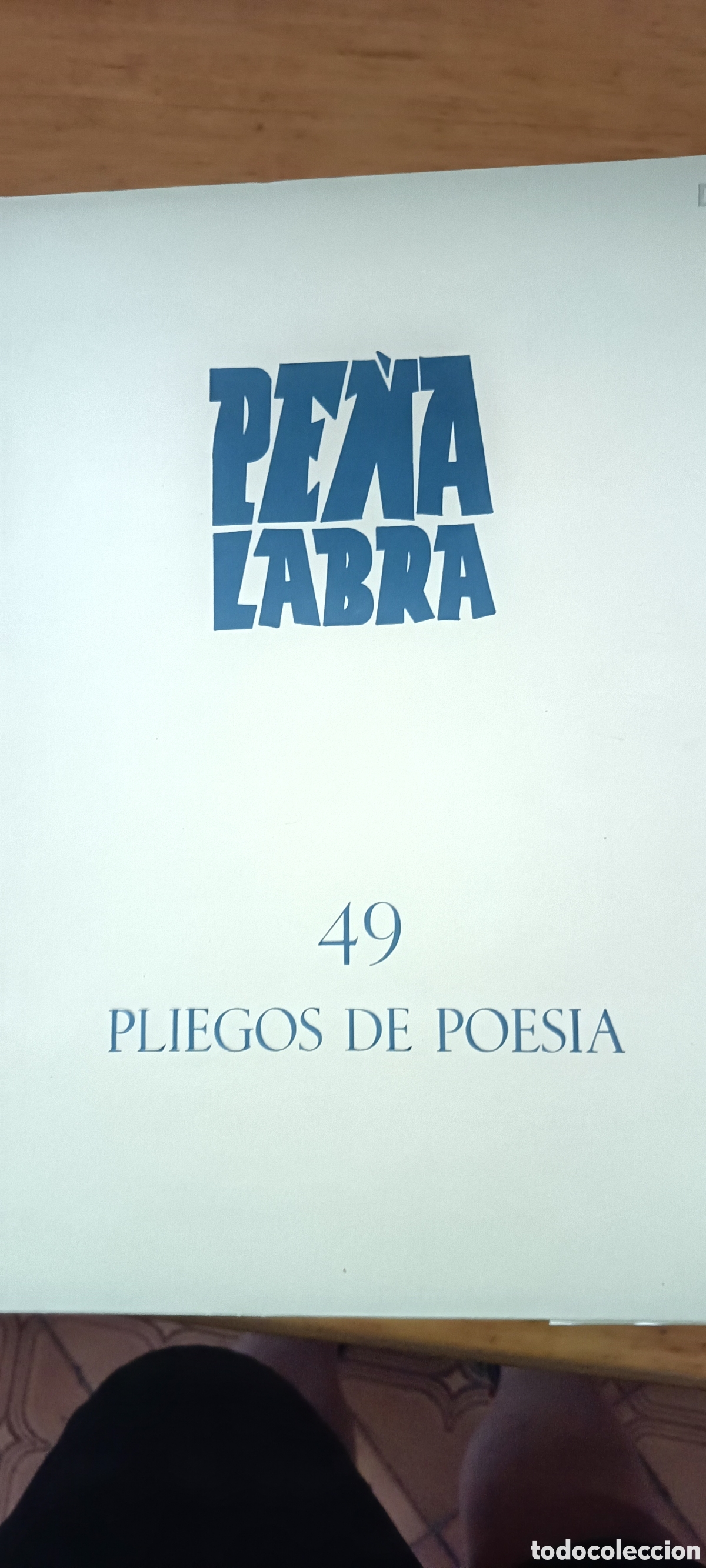 Collezionismo di Riviste e Giornali: Pe&ntilde;a Labra. Pliegos de Poesia. Vol 49