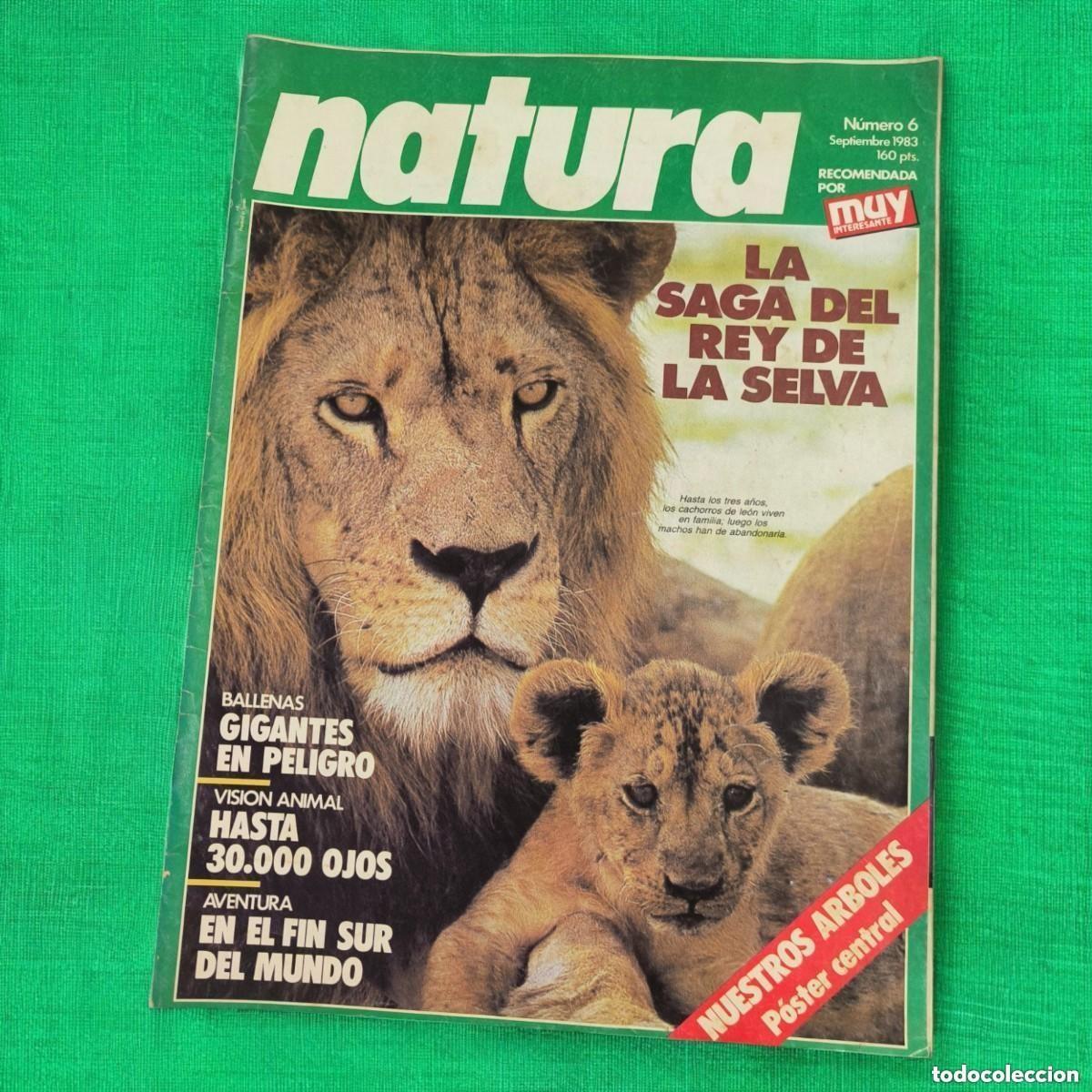 Sammeln von Zeitschriften und Zeitungen: Revista NATURA N&ordm; 6 (1983) &ndash; La Saga del Rey de la Selva &ndash; Le&oacute;n y Cr&iacute;a