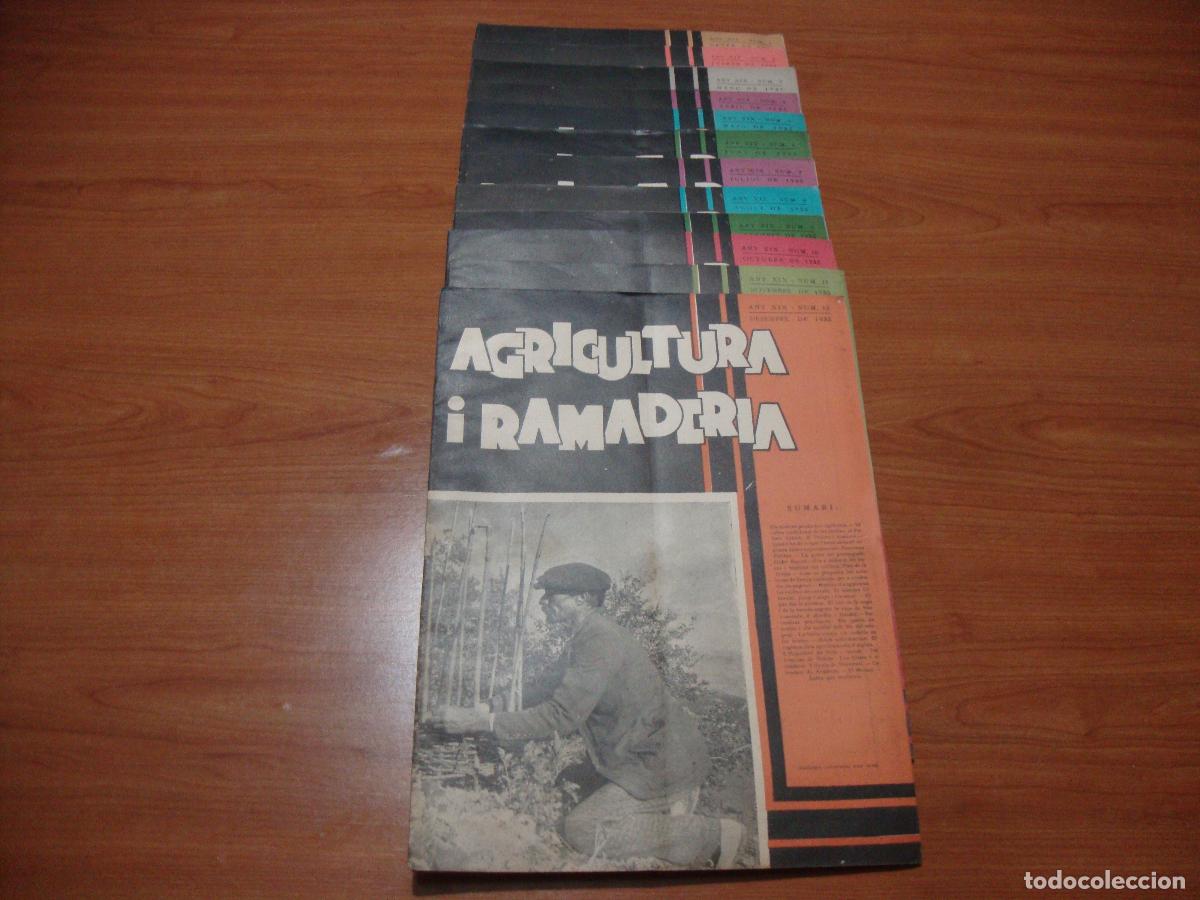 Coleccionismo de revistas y peri&oacute;dicos: REVISTA AGRICULTURA I RAMADERIA A&Ntilde;O 1935 COMPLETO 12 NUMEROS