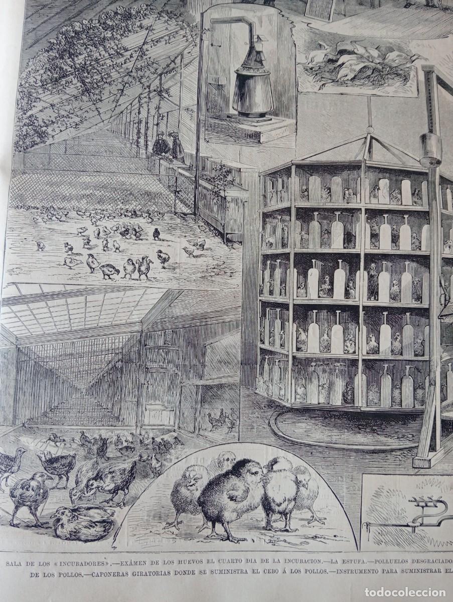 Coleccionismo de revistas y peri&oacute;dicos: REVISTA ENTERA A&Ntilde;O 1878 INCUBACION ARTIFICIAL DE HUEVOS DE GALLINAS BAKER MAPA DE CHIPRE