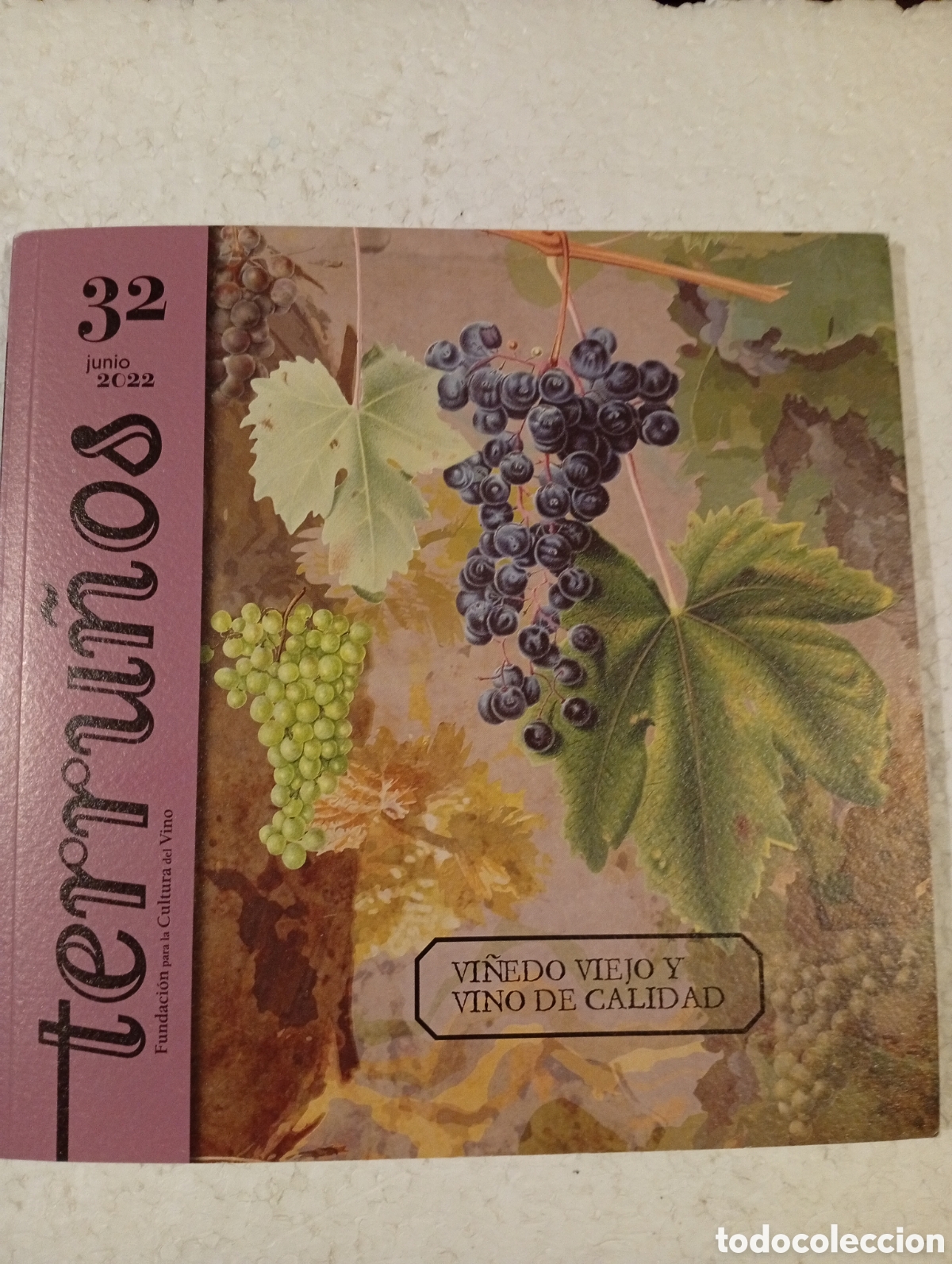 Coleccionismo de revistas y peri&oacute;dicos: TERRU&Ntilde;OS. 32. JUNIO 2022. VI&Ntilde;EDO VIEJO Y VINO DE CALIDAD. FUNDACI&Oacute;N CULTURA DEL VINO.