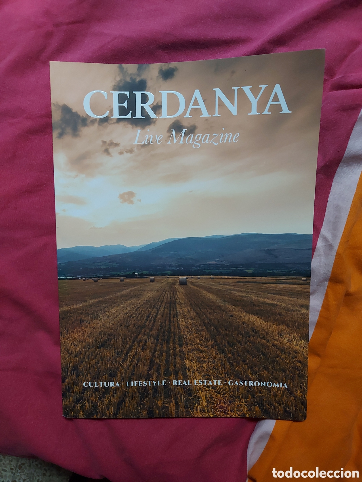 Collectionnisme de Revues et Journaux: REVISTA CERDANYA a&ntilde;o 2026