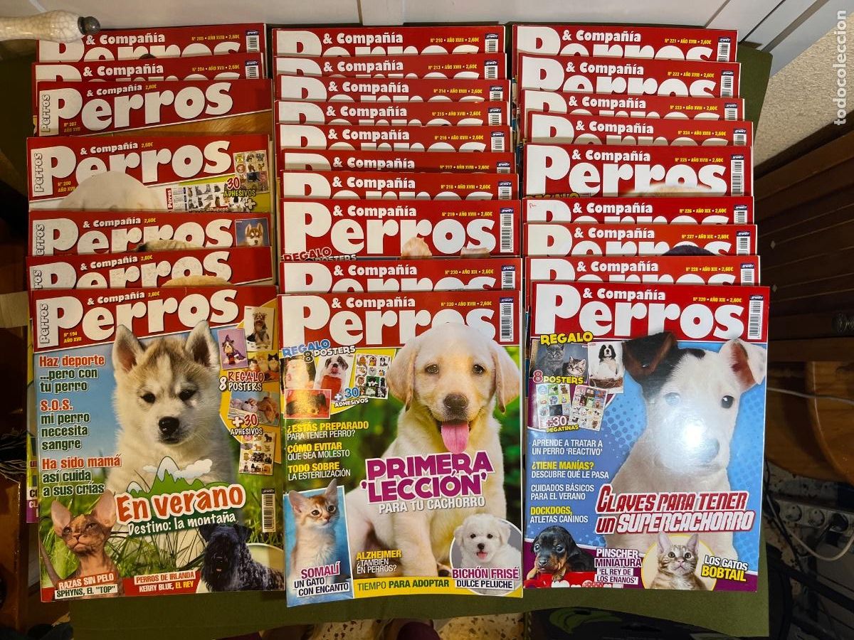 Colecionismo de Revistas e Jornais: Colecci&oacute;n Revistas Perros & Compa&ntilde;&iacute;a N&ordm; 194 al 230 + Extras &ndash; Lote 37 Ejemplares