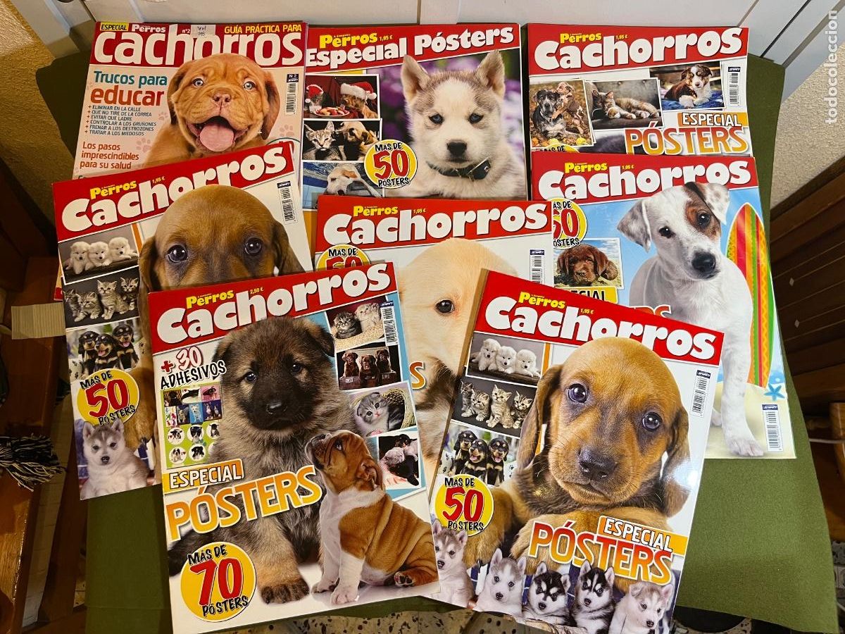 Colecionismo de Revistas e Jornais: Lote Revistas Especiales Perros Cachorros y P&oacute;sters &ndash; 10 Ejemplares Grupo V