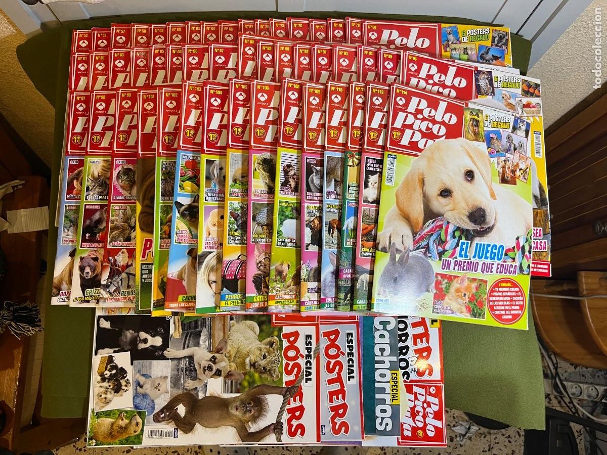 Colecionismo de Revistas e Jornais: Gran lote revistas Pelo Pico Pata y Especiales Mascotas + Posters Antena 3 (70+ ejemplares)