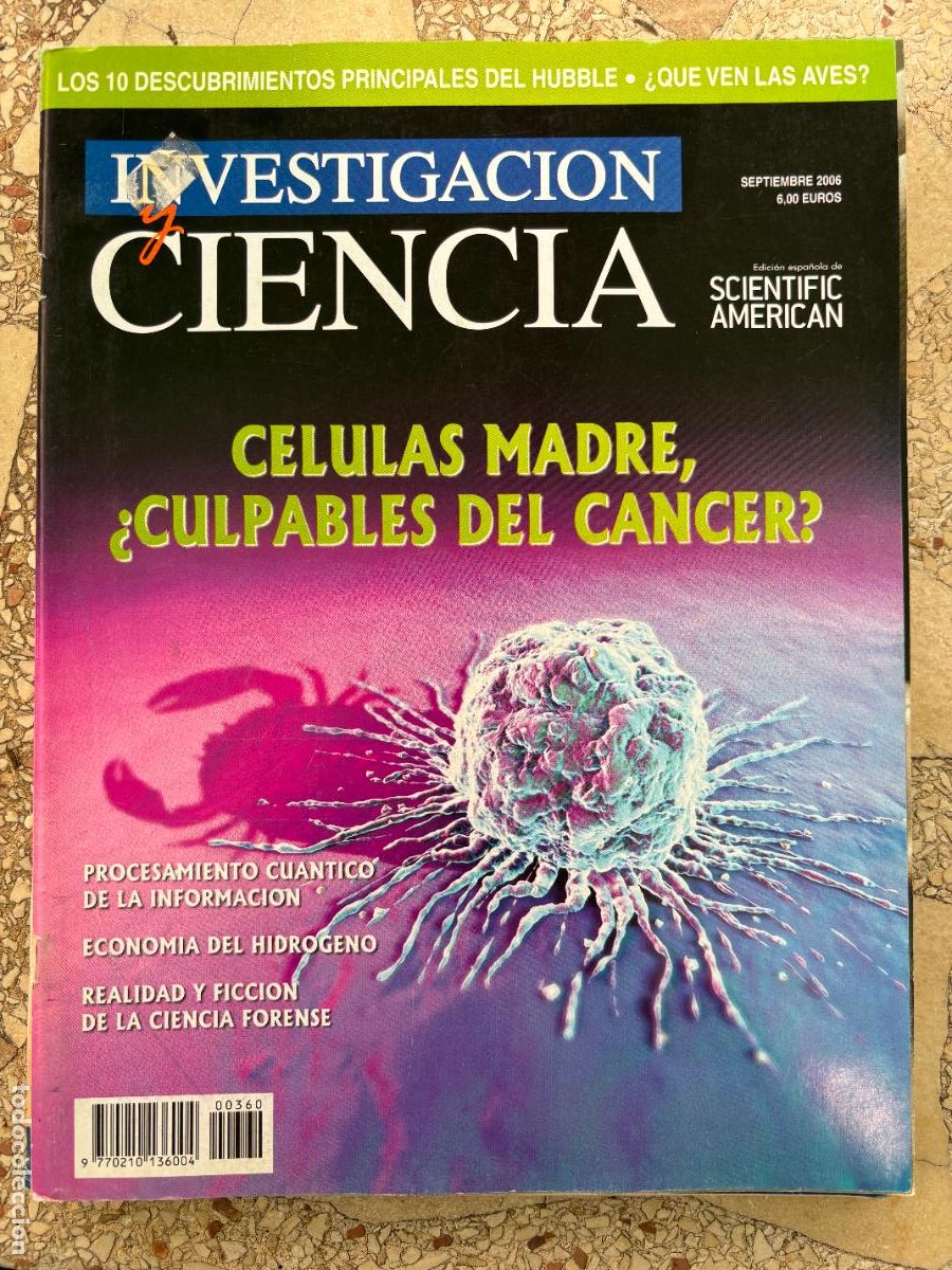Coleccionismo de revistas y peri&oacute;dicos: INVESTIGACI&Oacute;N Y CIENCIA N&ordm; 360 A&Ntilde;O 2006. C&Eacute;LULAS MADRE. PROCESAMIENTO CU&Aacute;NTICO. HIDR&Oacute;GENO.