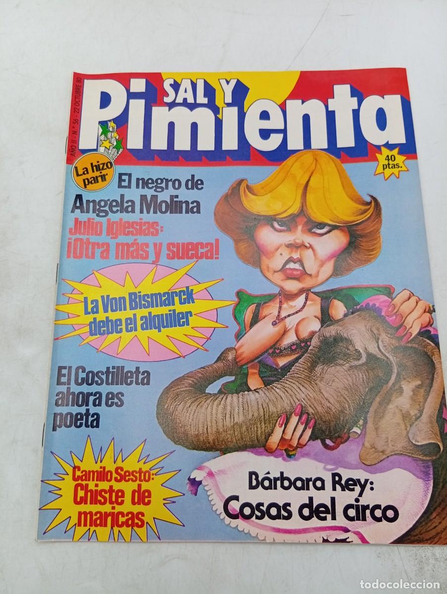 Collectionnisme de Revues et Journaux: REVISTA SAL Y PIMIENTA. N&ordm; 56. A&Ntilde;O 1980. JULIO IGLESIAS. EL COSTILLETA AHORA ES POETA.... LEER.