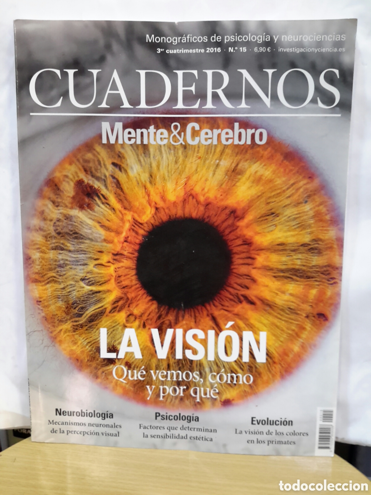 Collectionnisme de Revues et Journaux: Cuadernos Mente & Cerebro No. 15 - La Visi&oacute;n: qu&eacute; vemos, c&oacute;mo y por qu&eacute;