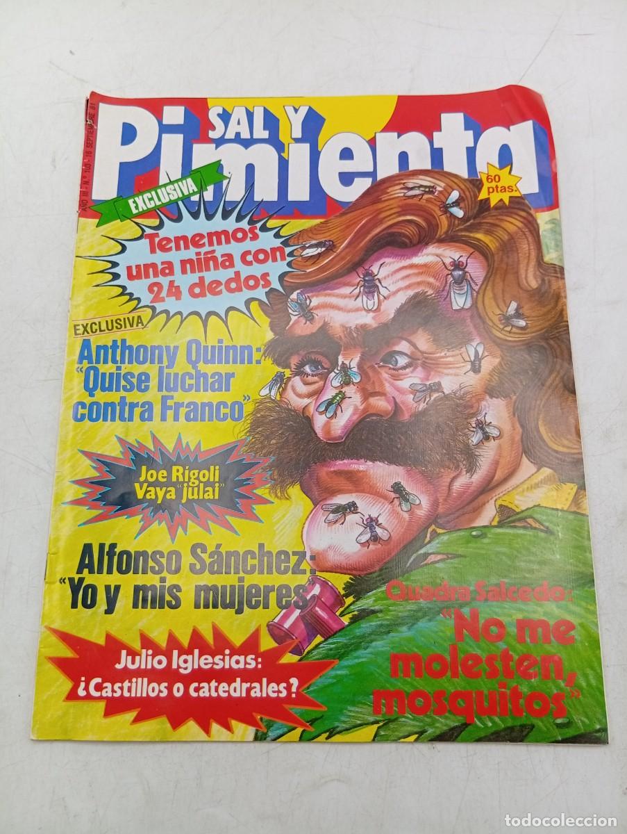 Coleccionismo de revistas y peri&oacute;dicos: REVISTA SAL Y PIMIENTA. N&ordm; 103. A&Ntilde;O 1981. JULIO IGLESIAS : &iquest; CASTILLOS O CATEDRALES?. ANTHON.. LEER.
