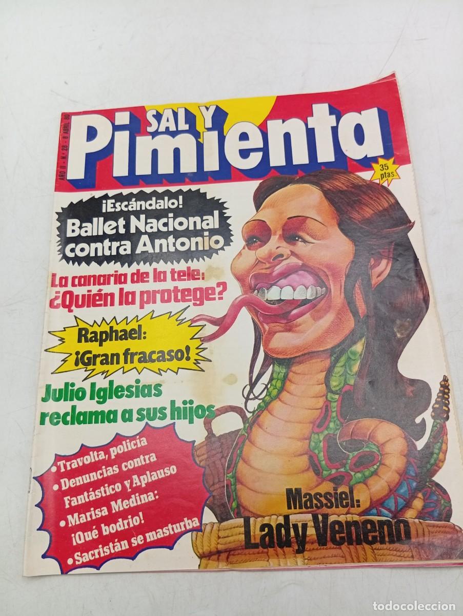 Collectionnisme de Revues et Journaux: REVISTA SAL Y PIMIENTA. N&ordm; 28. A&Ntilde;O 1980. JULIO IGLESIAS RECLAMA A SUS HIJOS. MASSIEL. TRAVOLTA...