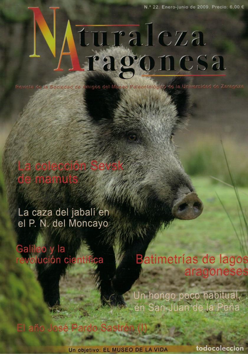 Coleccionismo de revistas y peri&oacute;dicos: Naturaleza Aragonesa N&ordm; 22 Enero-junio 2009 Colecci&oacute;n Sevsk mamuts Jabal&iacute; Moncayo Jos&eacute; Pardo Sastr&oacute;n