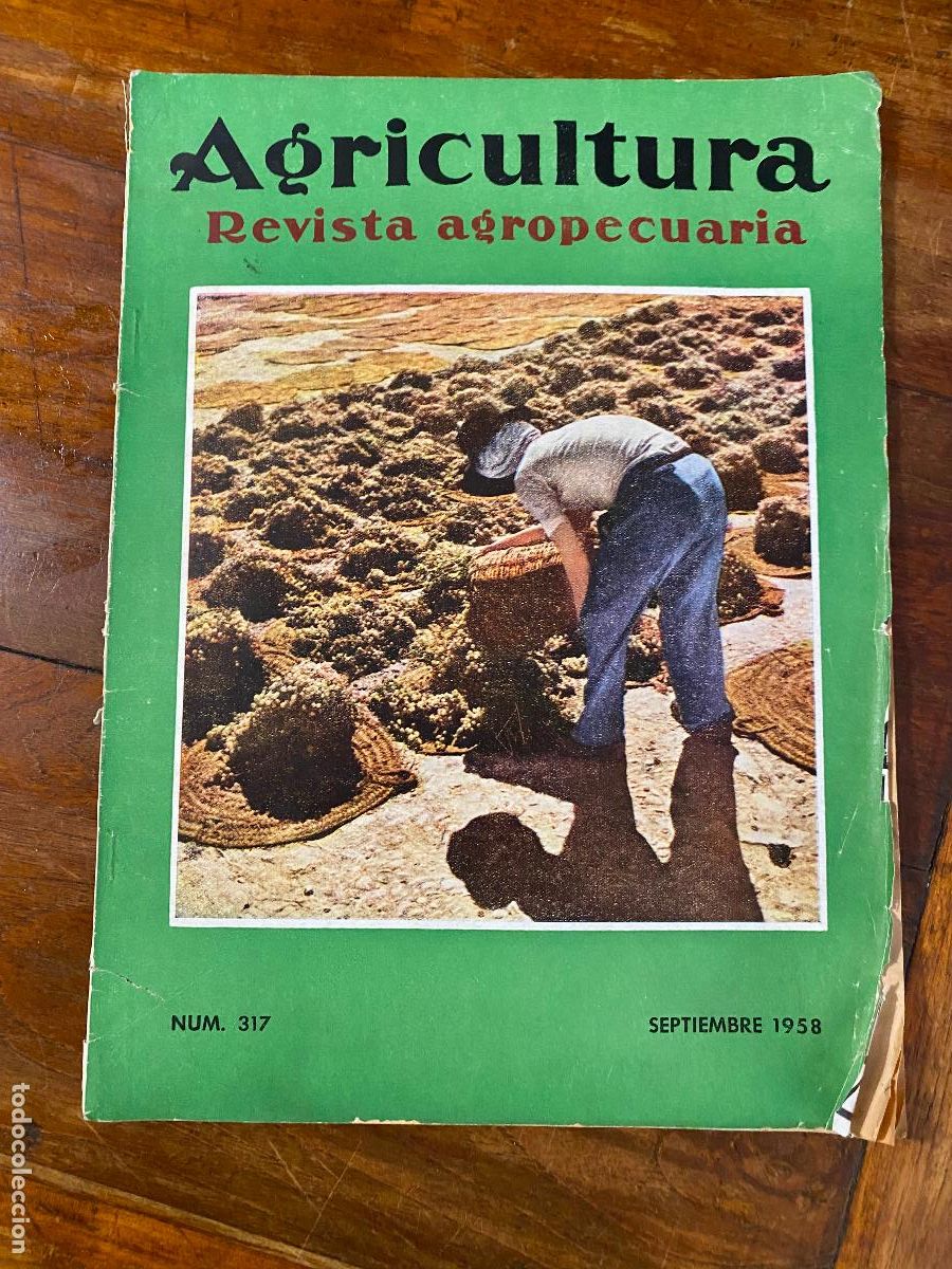 Colecionismo de Revistas e Jornais: AGRICULTURA. Revista Agropecuaria. N&ordm; 317. La plaga de la Rosquilla Negra; Los conservadores