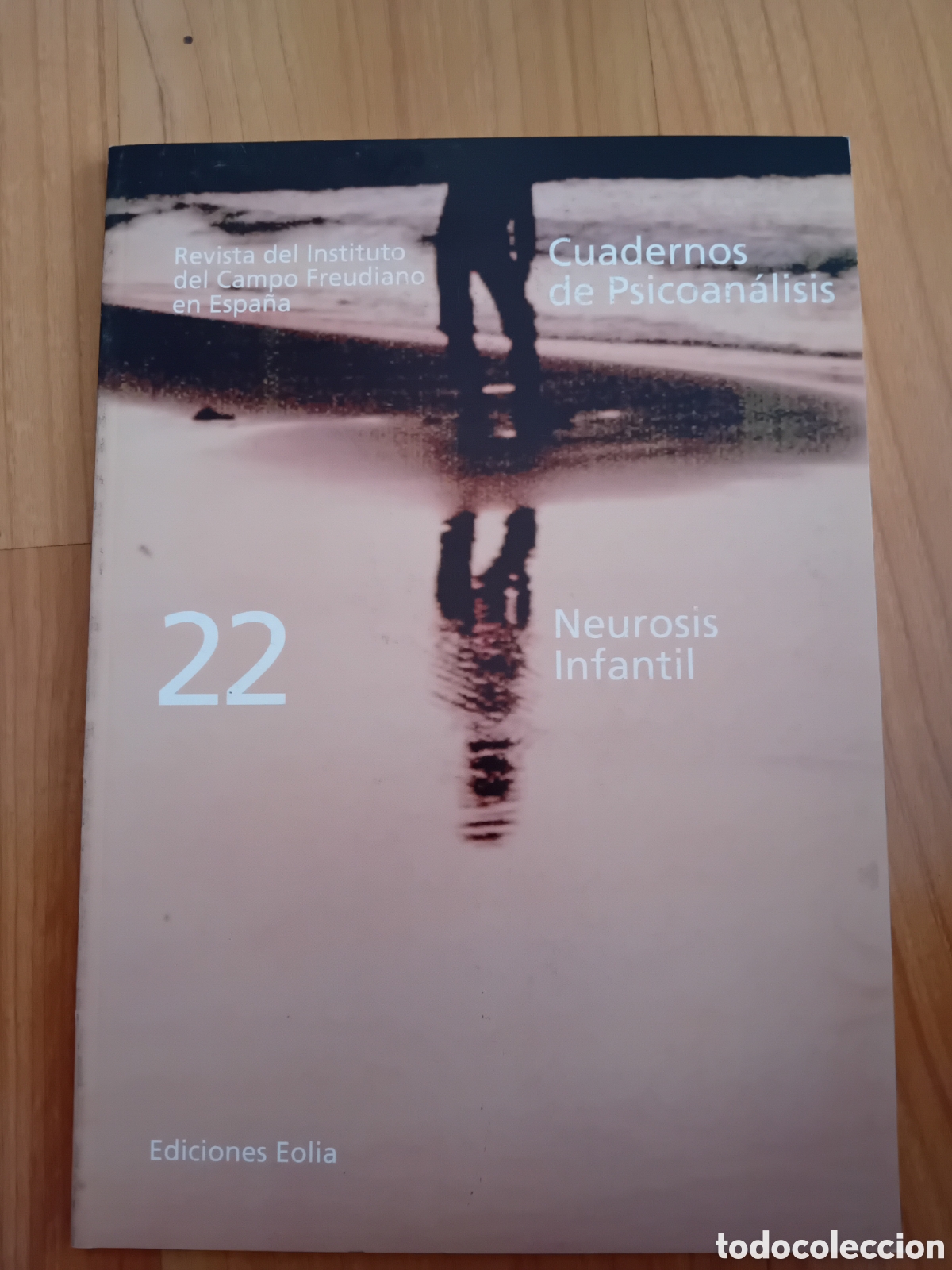 Coleccionismo de revistas y peri&oacute;dicos: CUADERNOS DE PSICOAN&Aacute;LISIS 22. REVISTA DEL INSTITUTO DEL CAMPO FREUDIANO EN ESPA&Ntilde;A. EOLIA. 1999