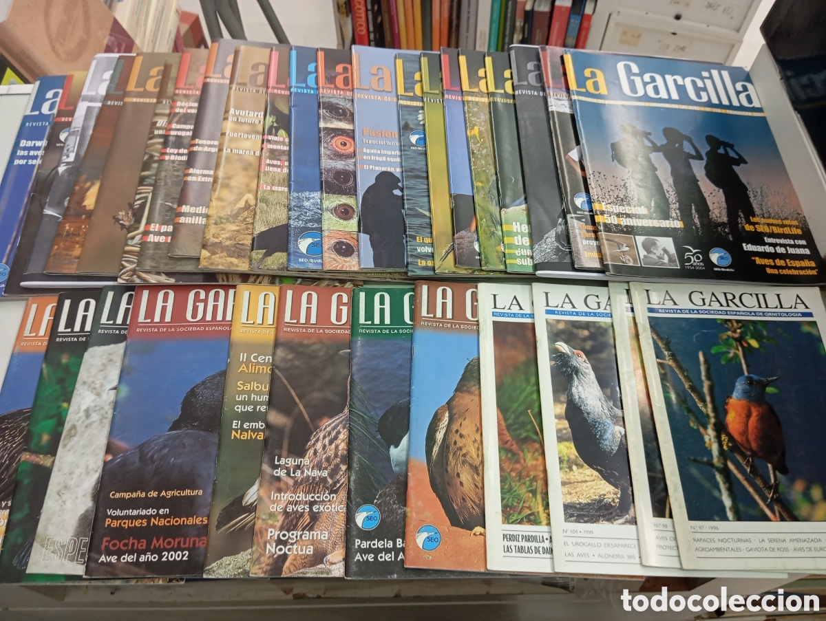 Coleccionismo de revistas y peri&oacute;dicos: LOTE 31 n&uacute;meros de la Revista de Ornitolog&iacute;a La Garcilla 1996-2009 AVES OBSERVACION SEO/BIRDLIFE