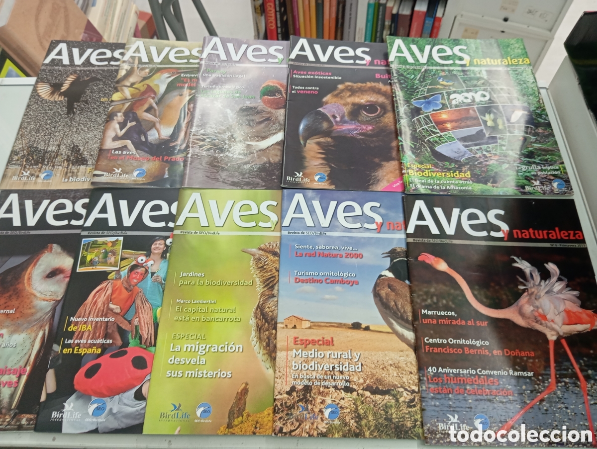 Coleccionismo de revistas y peri&oacute;dicos: LOTE 31 n&uacute;meros de la Revista de Ornitolog&iacute;a La Garcilla 1996-2009 AVES OBSERVACION SEO/BIRDLIFE