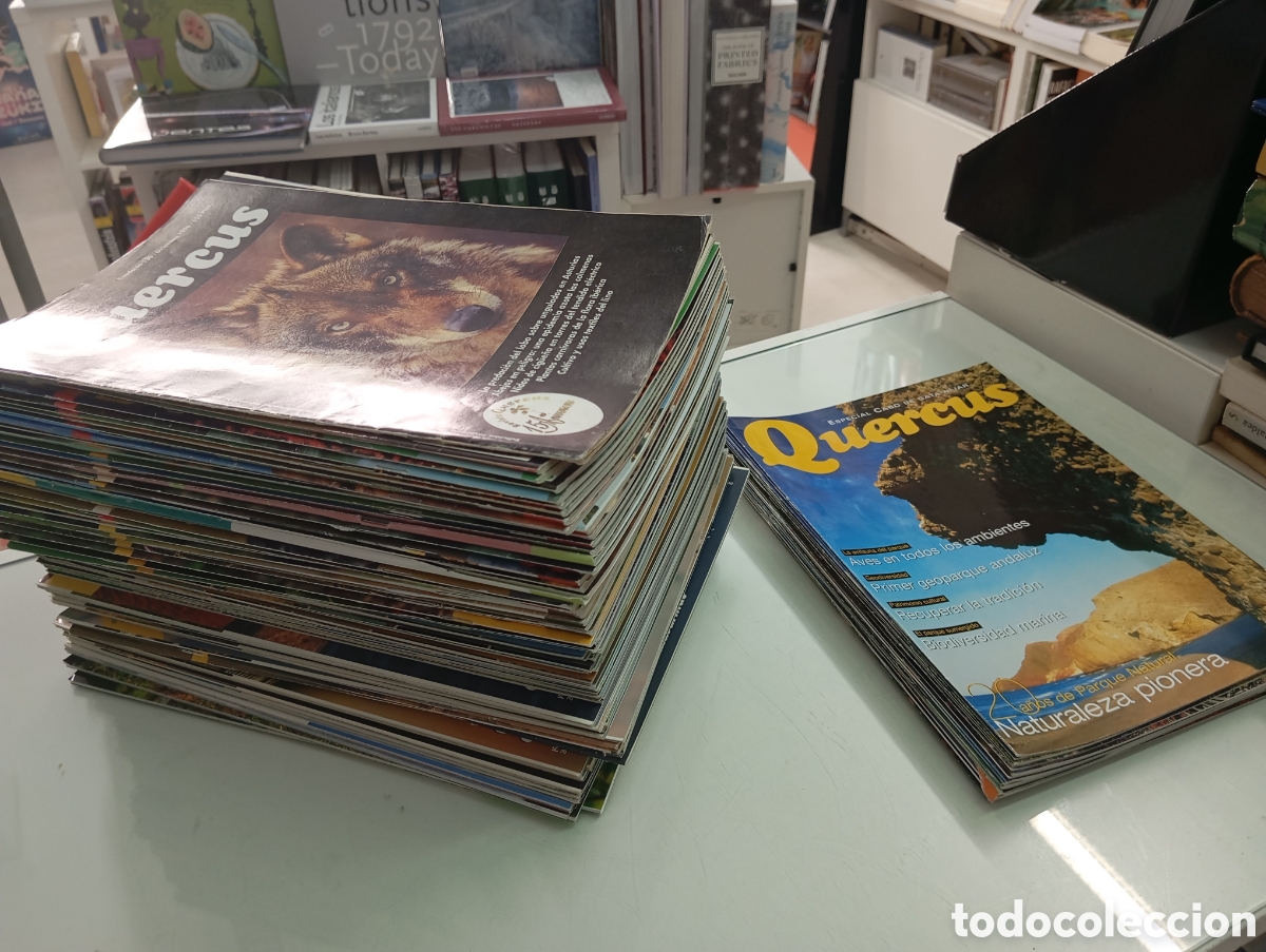 Collezionismo di Riviste e Giornali: LOTE Revista Quercus Lote 65 n&uacute;meros + 23 fasciculos especial Del 130 A 370 NATURALEZA OBSERVACION