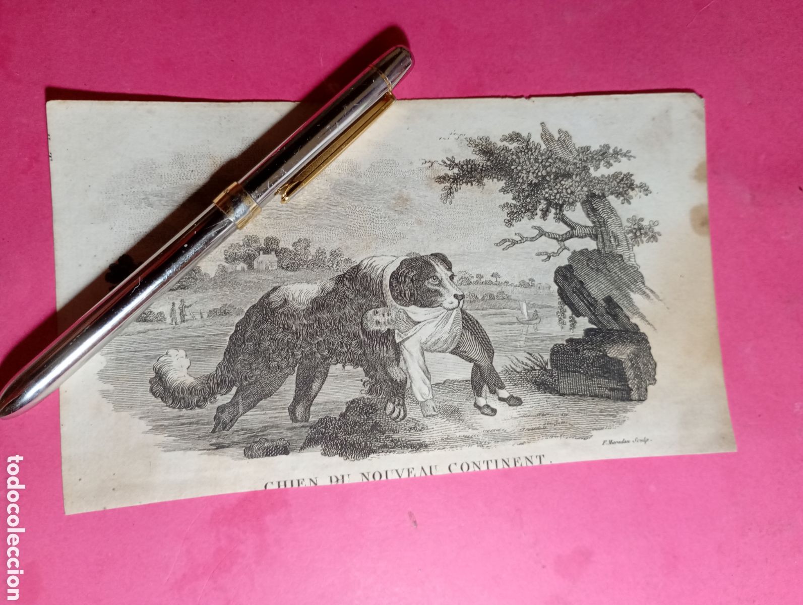 Sammeln von Zeitschriften und Zeitungen: ANTIGUO GRABADO ''CHIEN DU NOUVEAU CONTINENT''