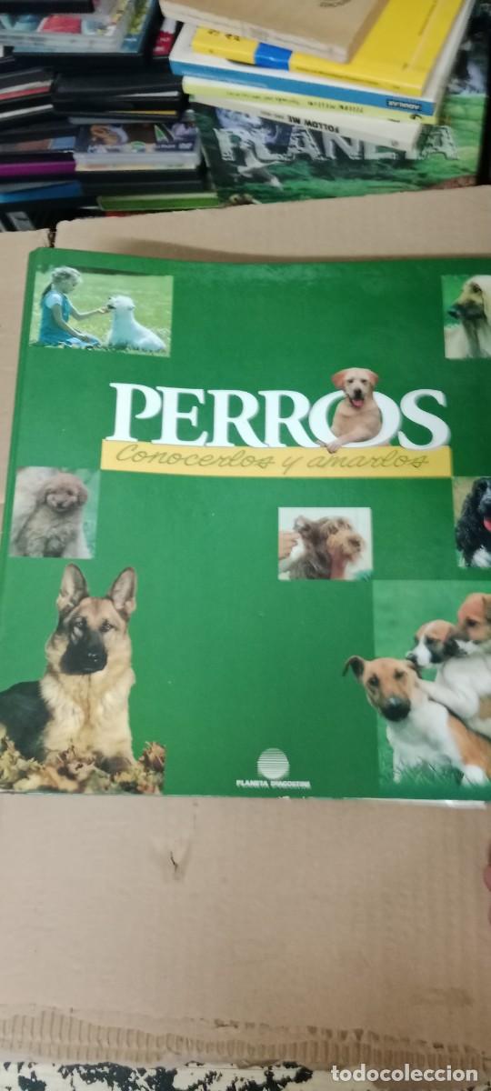 Coleccionismo de revistas y peri&oacute;dicos: PERROS - CONOCERLOS Y AMARLOS - PLANETA DEAGOSTINI LIBRO B-TOR