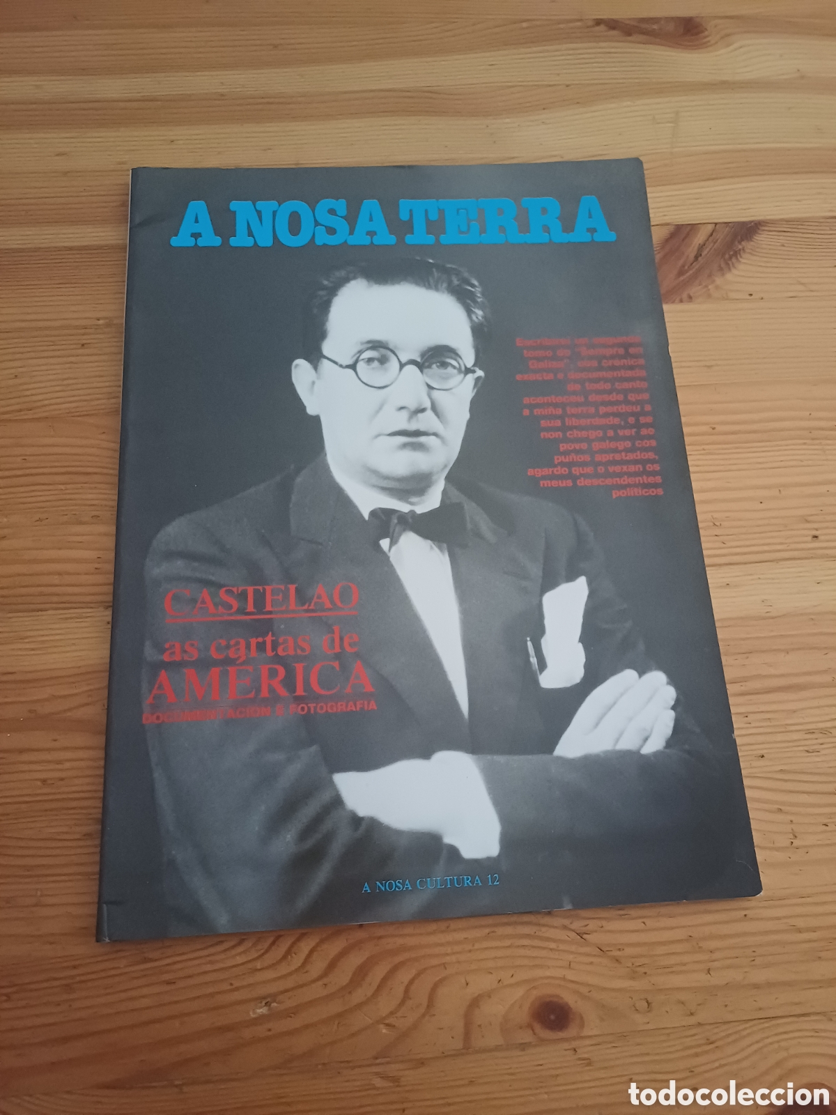 Coleccionismo de revistas y peri&oacute;dicos: A Nosa Terra Castelao as cartas de America A nosa cultura - Galiza Galicia