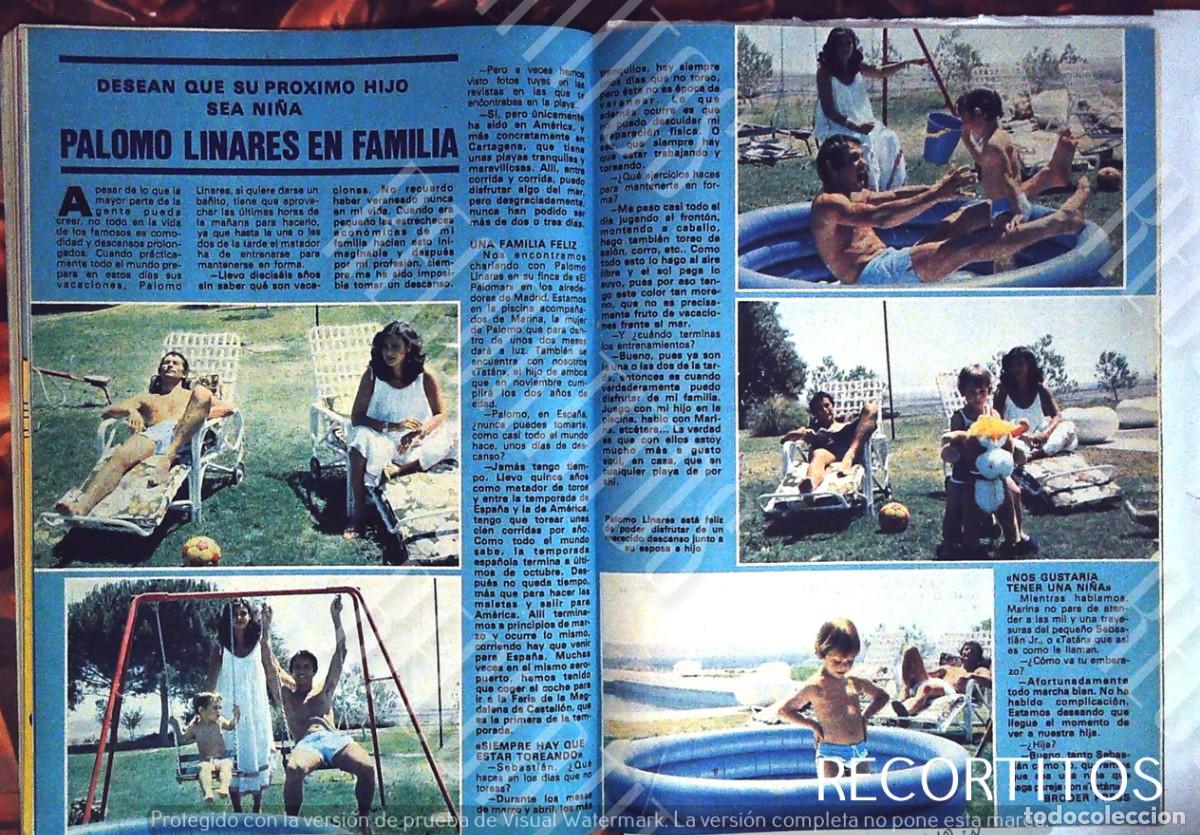 Coleccionismo de revistas y peri&oacute;dicos: los hijos de palomo linares marina danko