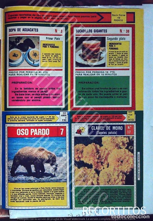 Coleccionismo de revistas y peri&oacute;dicos: clavel de moro oso pardo