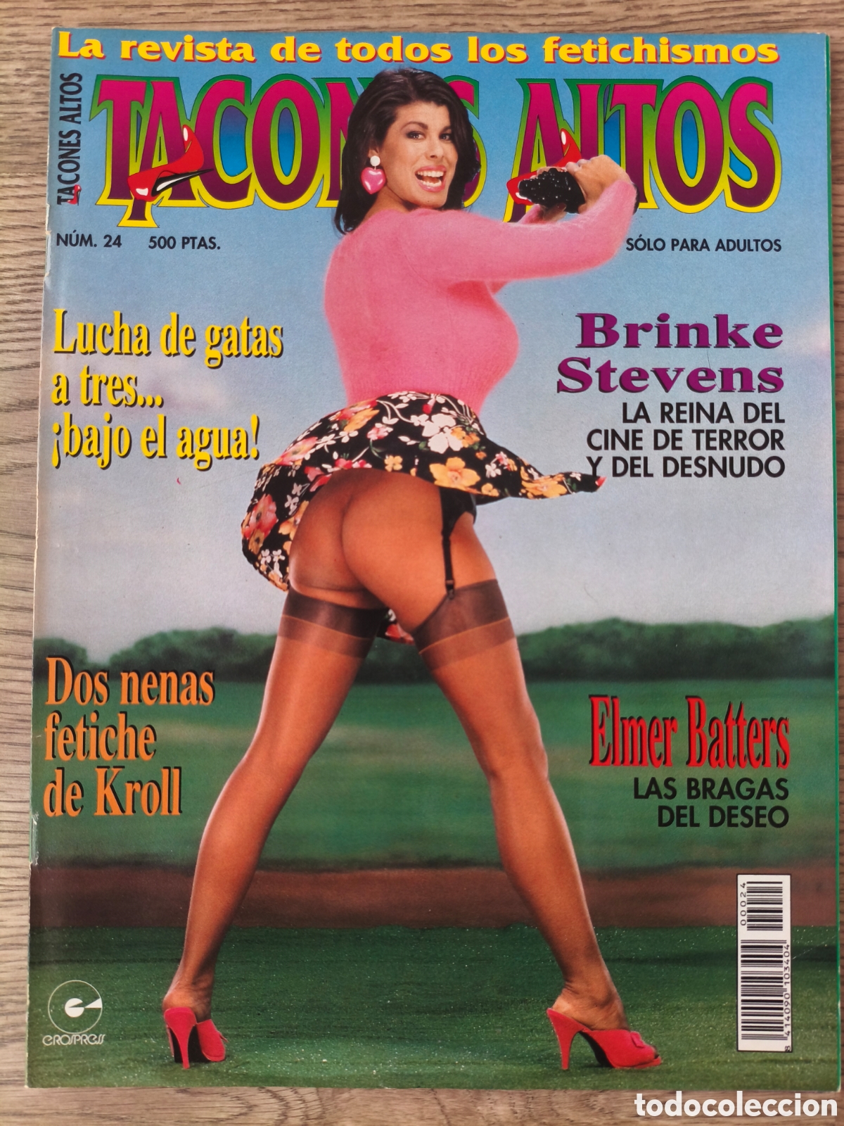 Coleccionismo de revistas y peri&oacute;dicos: TACONES ALTOS 24 FETISH MAGAZINE FOOT LEGS BRINKE STEVENS DIAN HANSON ELMER BATTERS ERIC KROLL