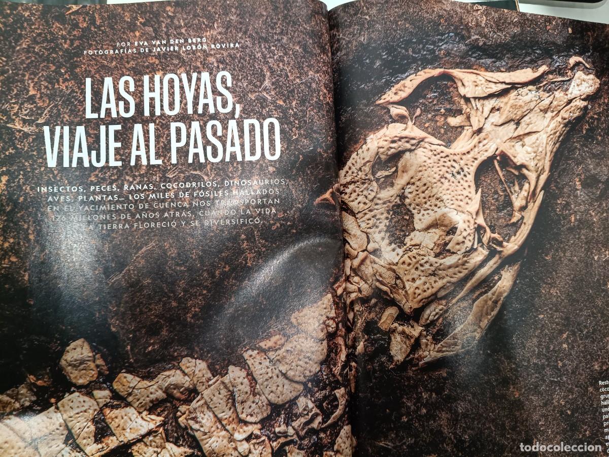 Coleccionismo de revistas y peri&oacute;dicos: LAS HOYAS, CUENCA: F&Oacute;SILES DE PECES, COCODRILOS, DINOSAURIOS...20 P&Aacute;GINAS DE NATIONAL GEOGRAPHIC
