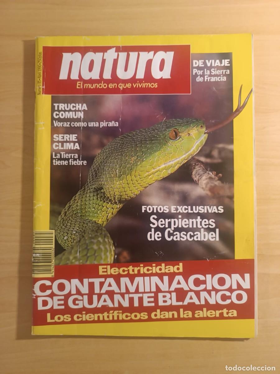 Coleccionismo de revistas y peri&oacute;dicos: Revista NATURA N&ordm; 85 - Abril 1990 - Serpiente de Cascabel en Portada