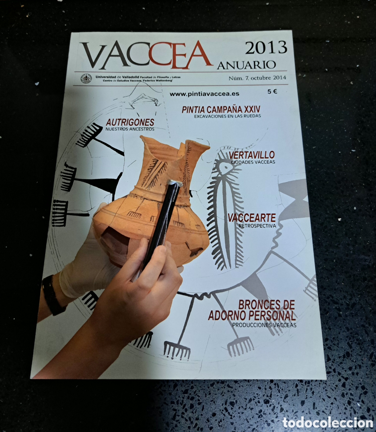 Coleccionismo de revistas y peri&oacute;dicos: ARQUEOLOGIA REVISTA VACCEA ANUARIO 2013 N&deg;7