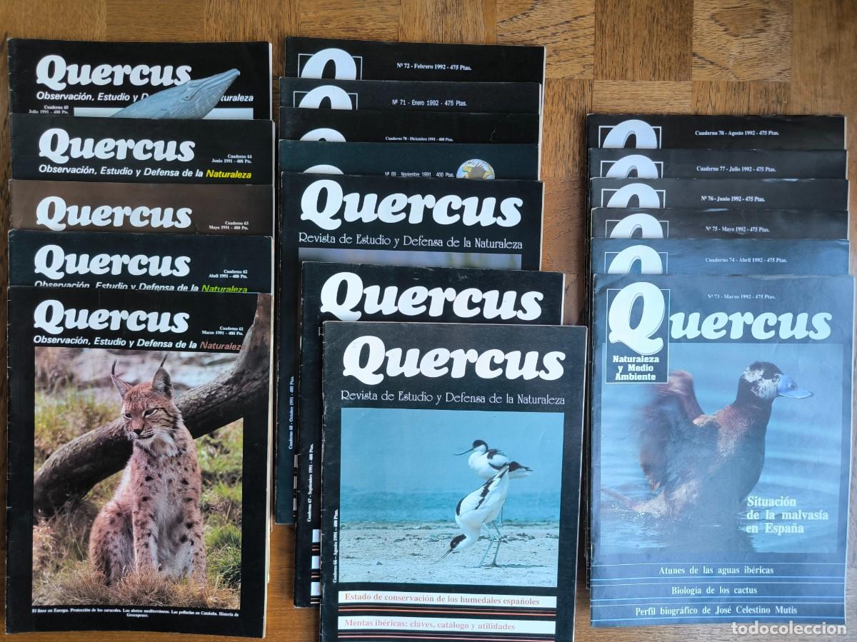 Coleccionismo de revistas y peri&oacute;dicos: Lote revistas Quercus