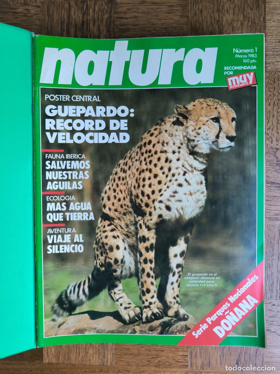 Coleccionismo de revistas y peri&oacute;dicos: Lote revistas Natura