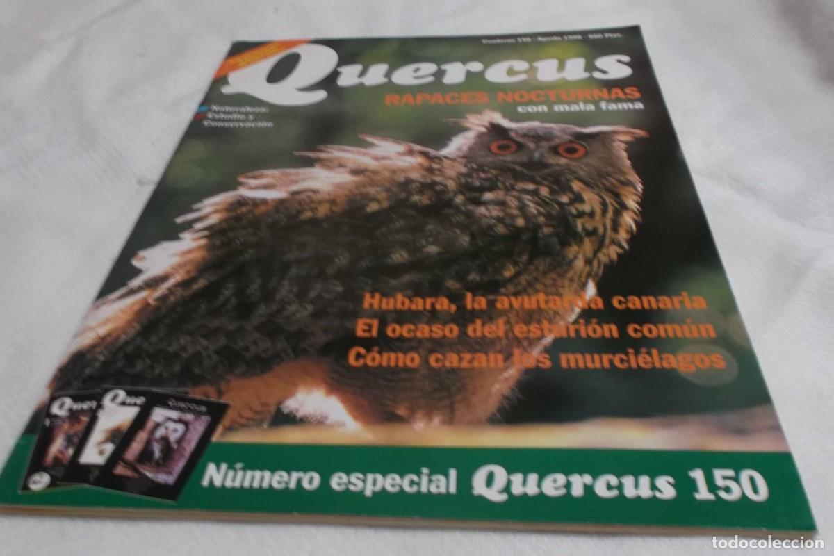 Coleccionismo de revistas y peri&oacute;dicos: revista Quercus rapaces nocturnas con mala fama Naturaleza estudio y conservacion a&ntilde;o 1998