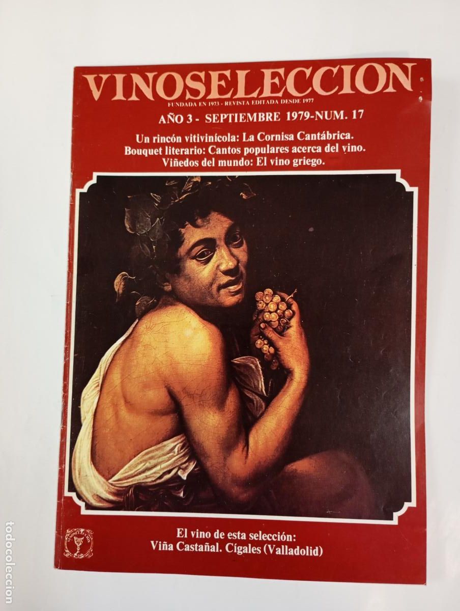 Coleccionismo de revistas y peri&oacute;dicos: REVISTA VINOSSELECCI&Oacute;N A&Ntilde;O 3. SEPTIEMBRE 1979. N&ordm; 17. CORNISA CANT&Aacute;BRICA. TDKC69