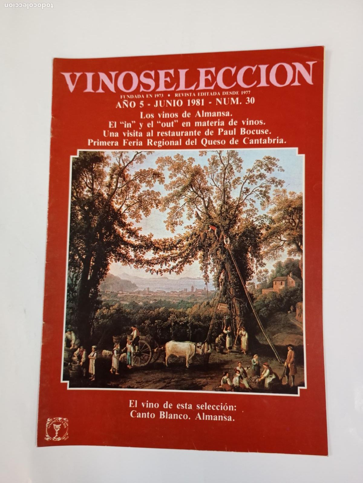 Coleccionismo de revistas y peri&oacute;dicos: REVISTA VINOSSELECCI&Oacute;N A&Ntilde;O 5. JUNIO 1981. N&ordm; 30. VINOS DE ALMANSA. TDKC78