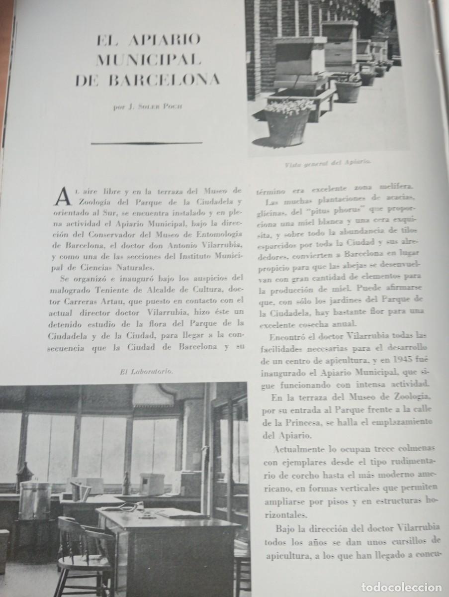 Coleccionismo de revistas y peri&oacute;dicos: REVISTA A&Ntilde;O 1956 NUEVO PROYECTO DEL PUERTO DE BARCELONA URBANISMO APIARIO DE BARCELONA ABEJAS