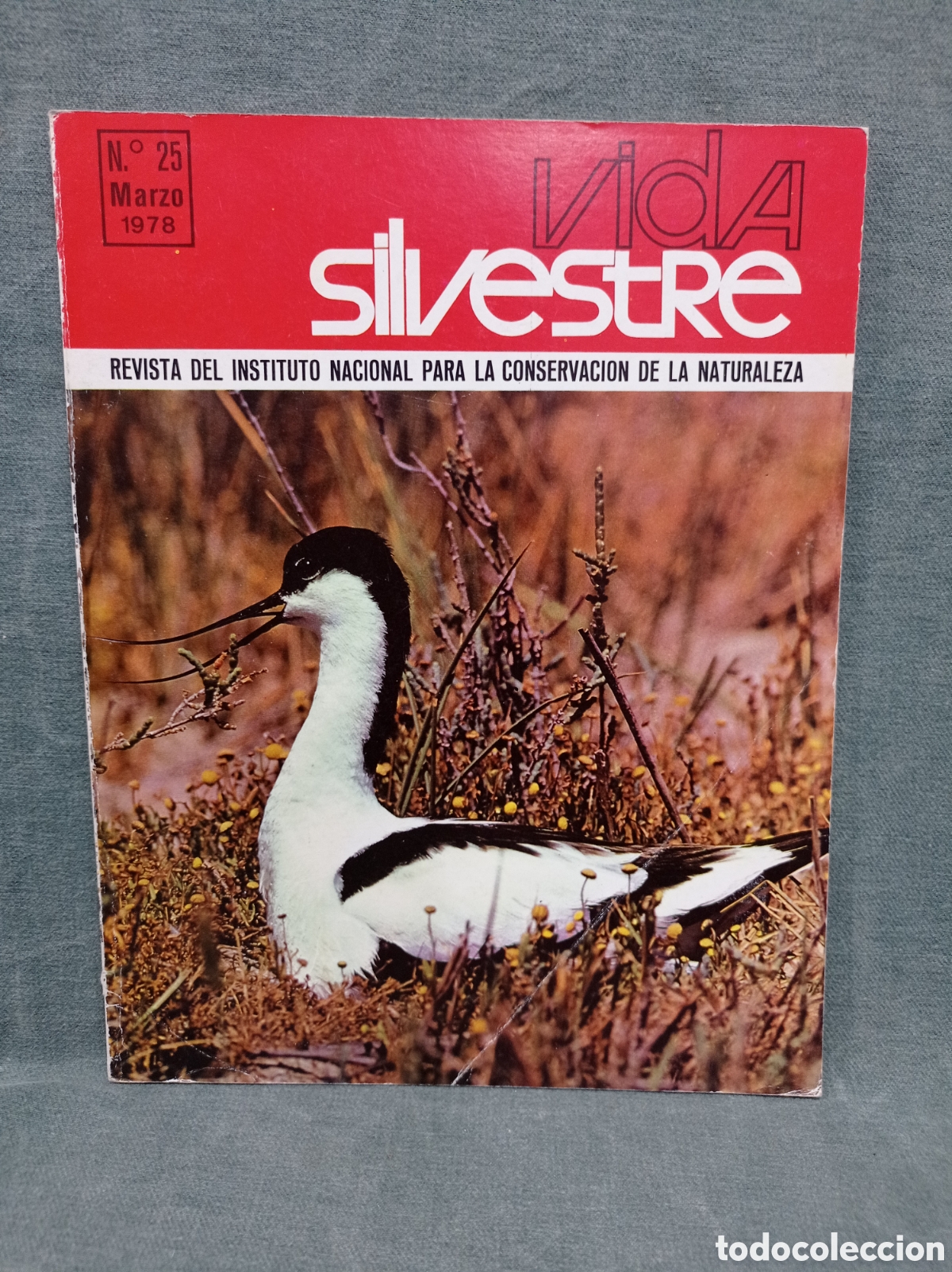 Coleccionismo de revistas y peri&oacute;dicos: REVISTA VIDA SILVESTRE - N&ordm; 25 - MARZO DE 1978 - ICONA
