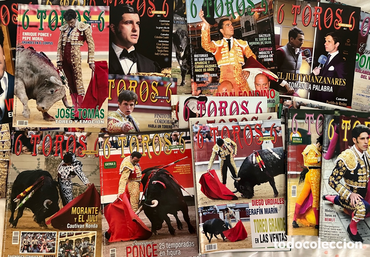 Coleccionismo de revistas y peri&oacute;dicos: Lote casi completo de revistas 6 toros 6 a&ntilde;o 2014