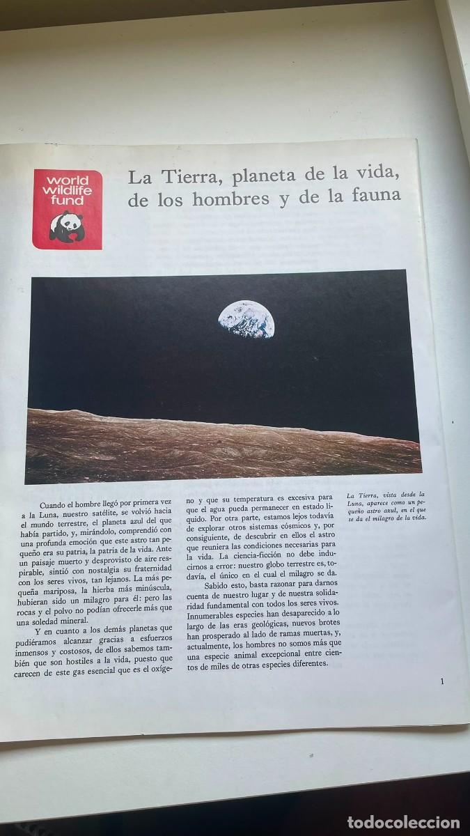 Coleccionismo de revistas y peri&oacute;dicos: Enciclopedia Salvat de la Fauna - Fasc&iacute;culo N.&ordm; 3 (4 de Febrero 1981) - Dr. F&eacute;lix Rodr&iacute;guez de la Fu