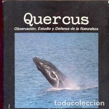 Coleccionismo de revistas y peri&oacute;dicos: Revista Quercus N&ordm; 6 Octubre 1982 Naturaleza Ecologia Ballenas PEIFER