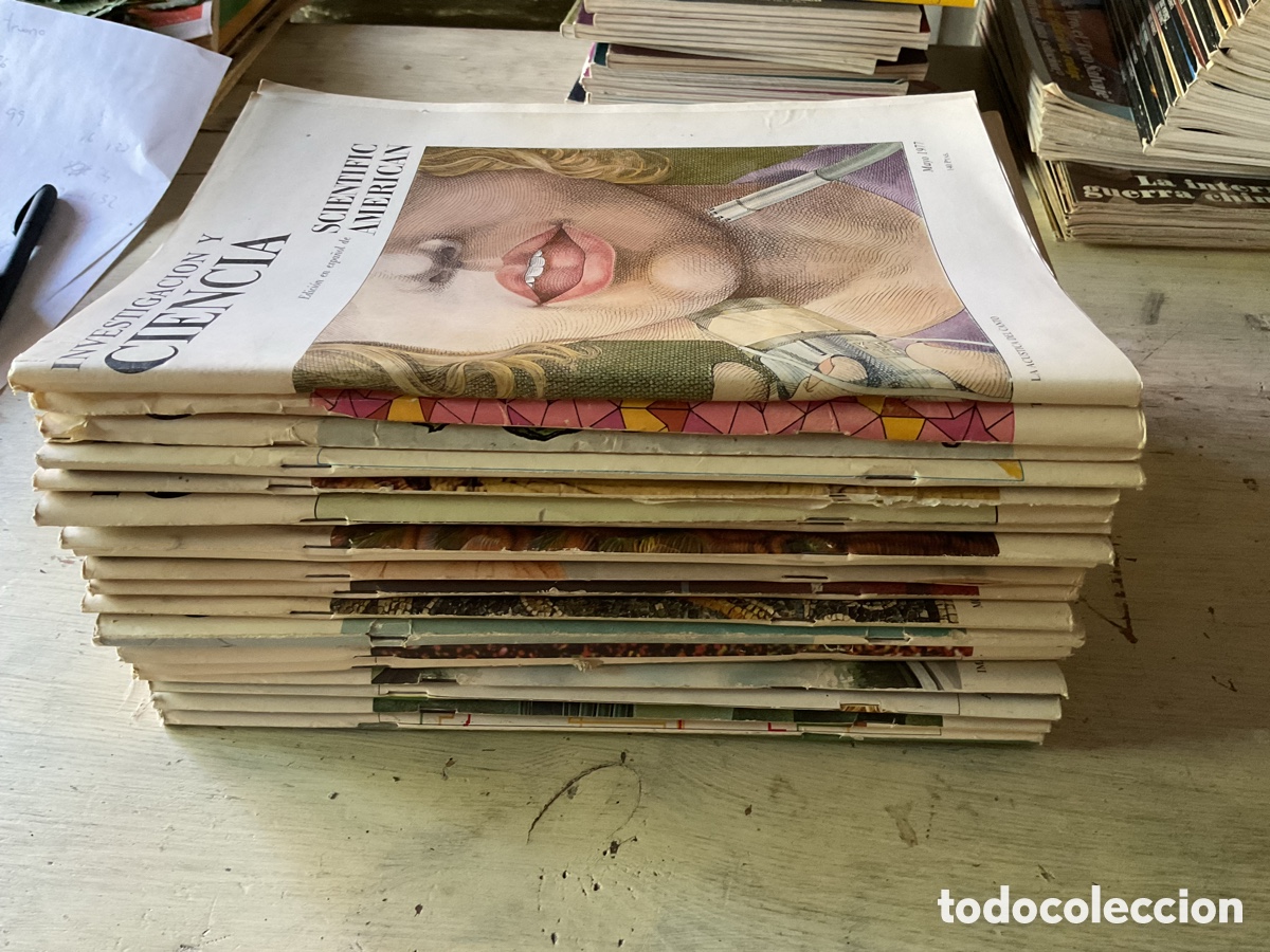 Coleccionismo de revistas y peri&oacute;dicos: Lote 19 revistas Investigaci&oacute;n y Ciencia (Scientific American) 1977-1981