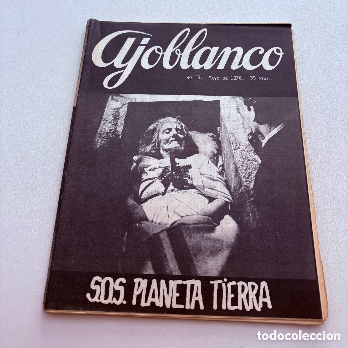 Coleccionismo de revistas y peri&oacute;dicos: REVISTA AJOBLANCO N&ordm; 13 DE 1976