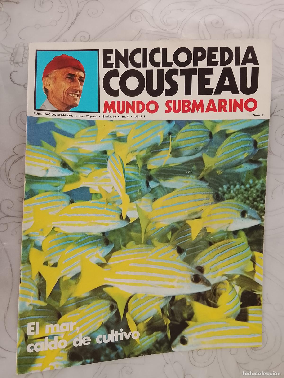 Sammeln von Zeitschriften und Zeitungen: FASCICULO - ENCICLOPEDIA COUSTEAU MUNDO SUBMARINO - URBION