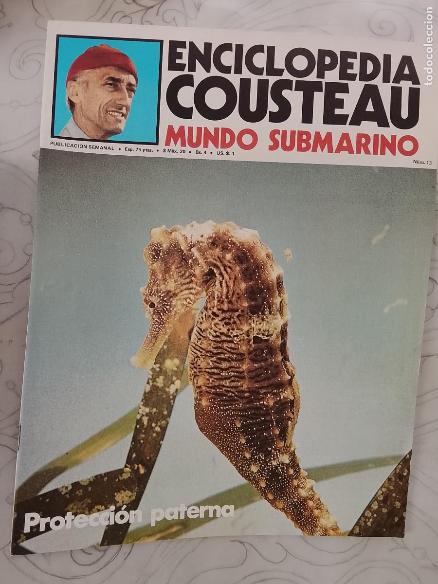 Collectionnisme de Revues et Journaux: FASCICULO - ENCICLOPEDIA COUSTEAU MUNDO SUBMARINO - URBION