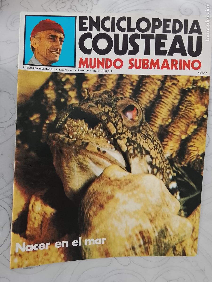 Collectionnisme de Revues et Journaux: FASCICULO - ENCICLOPEDIA COUSTEAU MUNDO SUBMARINO - URBION