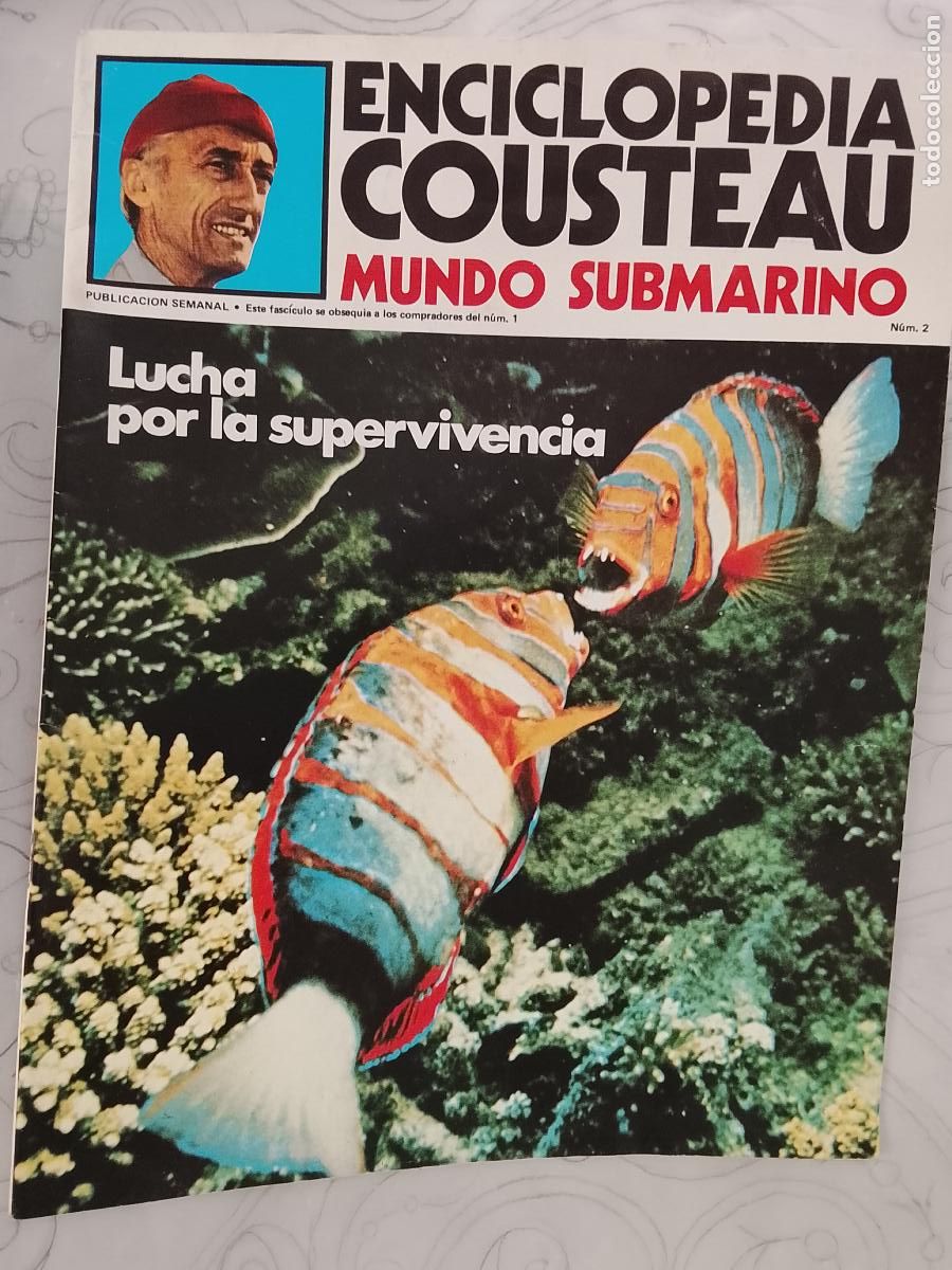 Collectionnisme de Revues et Journaux: FASCICULO - ENCICLOPEDIA COUSTEAU MUNDO SUBMARINO - URBION