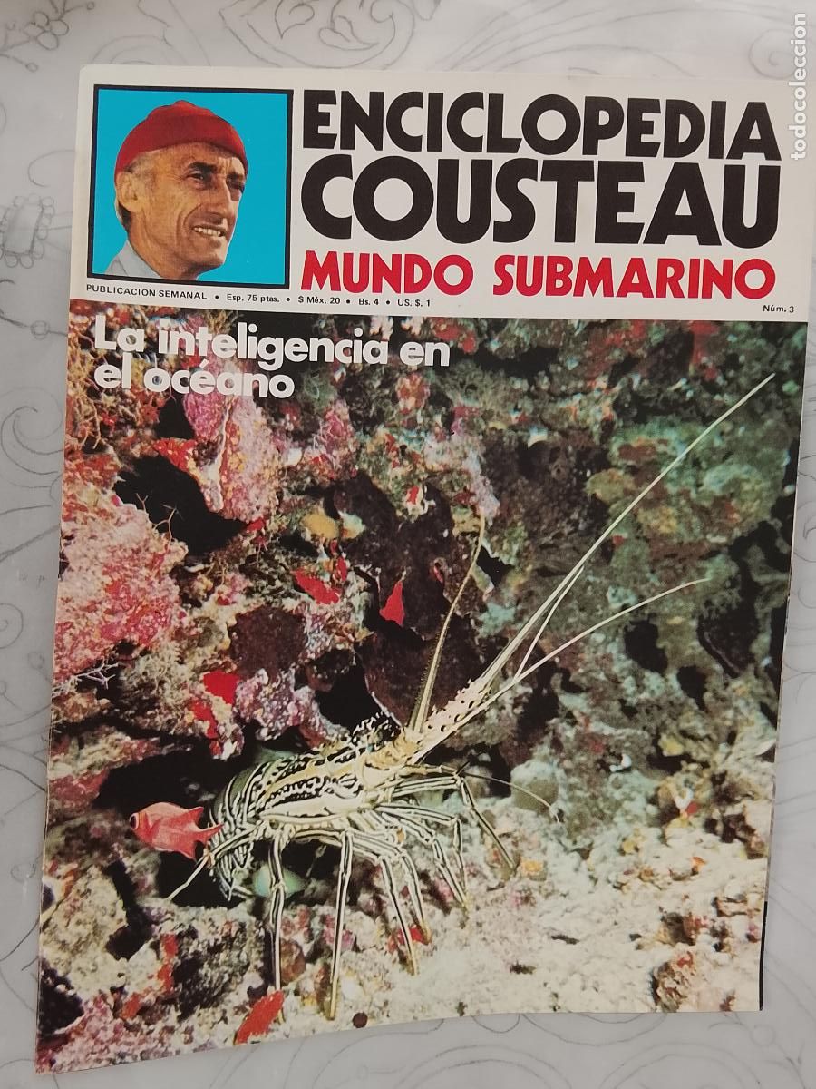 Collectionnisme de Revues et Journaux: FASCICULO - ENCICLOPEDIA COUSTEAU MUNDO SUBMARINO - URBION